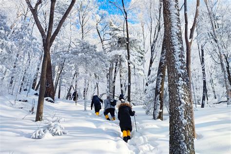 長白山|中国東北三省徒歩でいく長白山の旅、大陸の冬を存分。